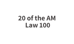 Nisos is partnered with 20 of the AM Law 100 firms for advanced human and data risk protection.